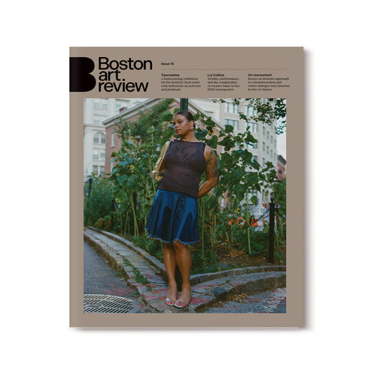 Issue 15
