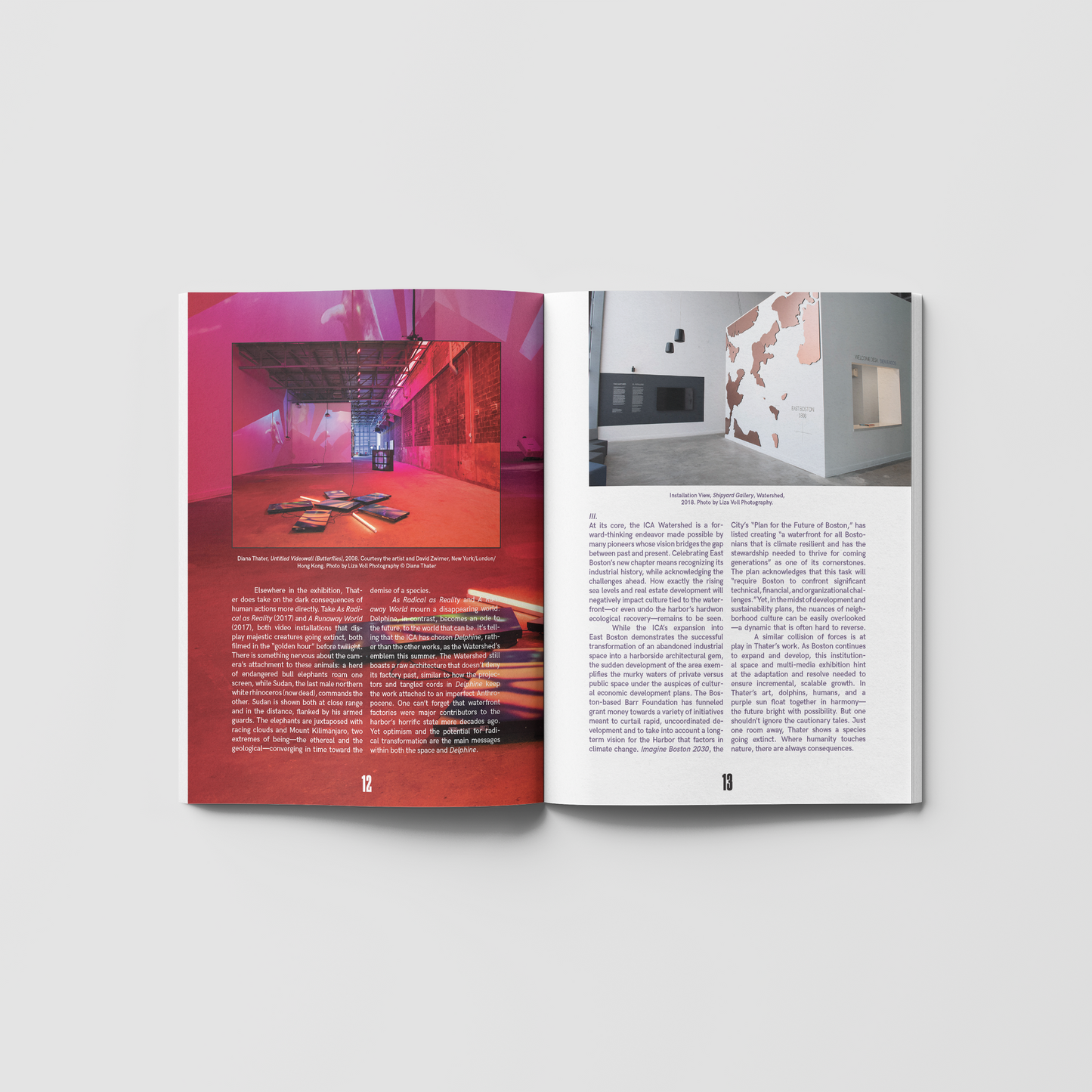 Issue 02: Field Work - Limited Second Print