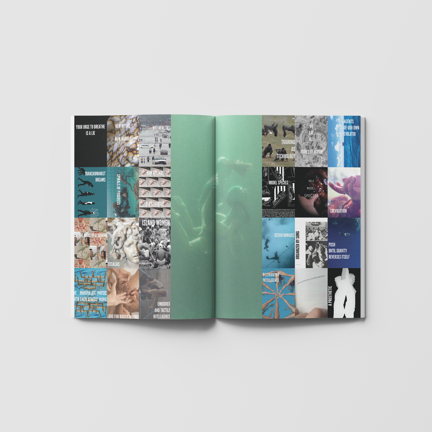 Issue 02: Field Work - Limited Second Print